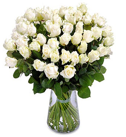 Wonderful white roses